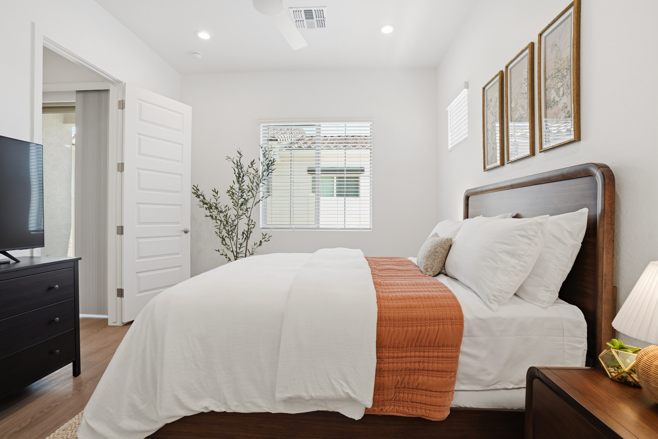 Modern, Rental Homes
