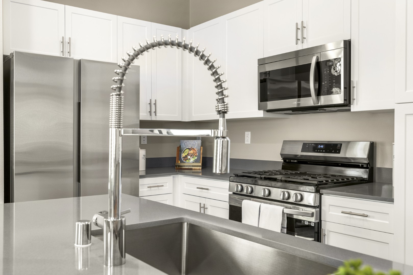 Stainless Steel Kitchen Appliances